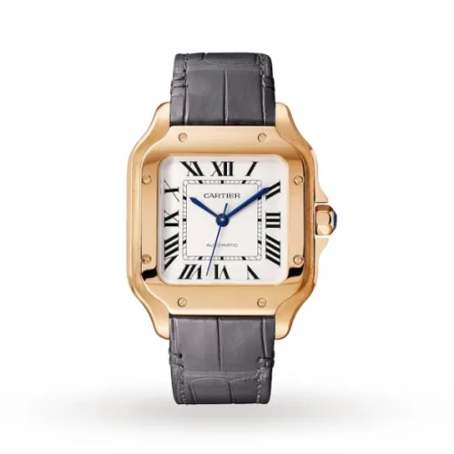 Cartier Santos de Cartier Men Automatic Silver Alligator Watch WGSA0019 photo 3