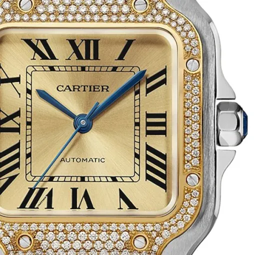 Cartier Santos de Cartier Women Automatic Gold Watch W3SA0007 photo 3